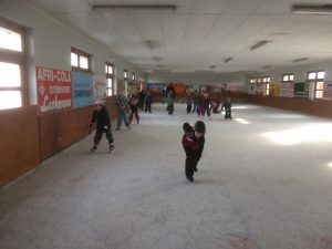 VS Hausmannstätten_ESV Union Hausmannstätten (5)